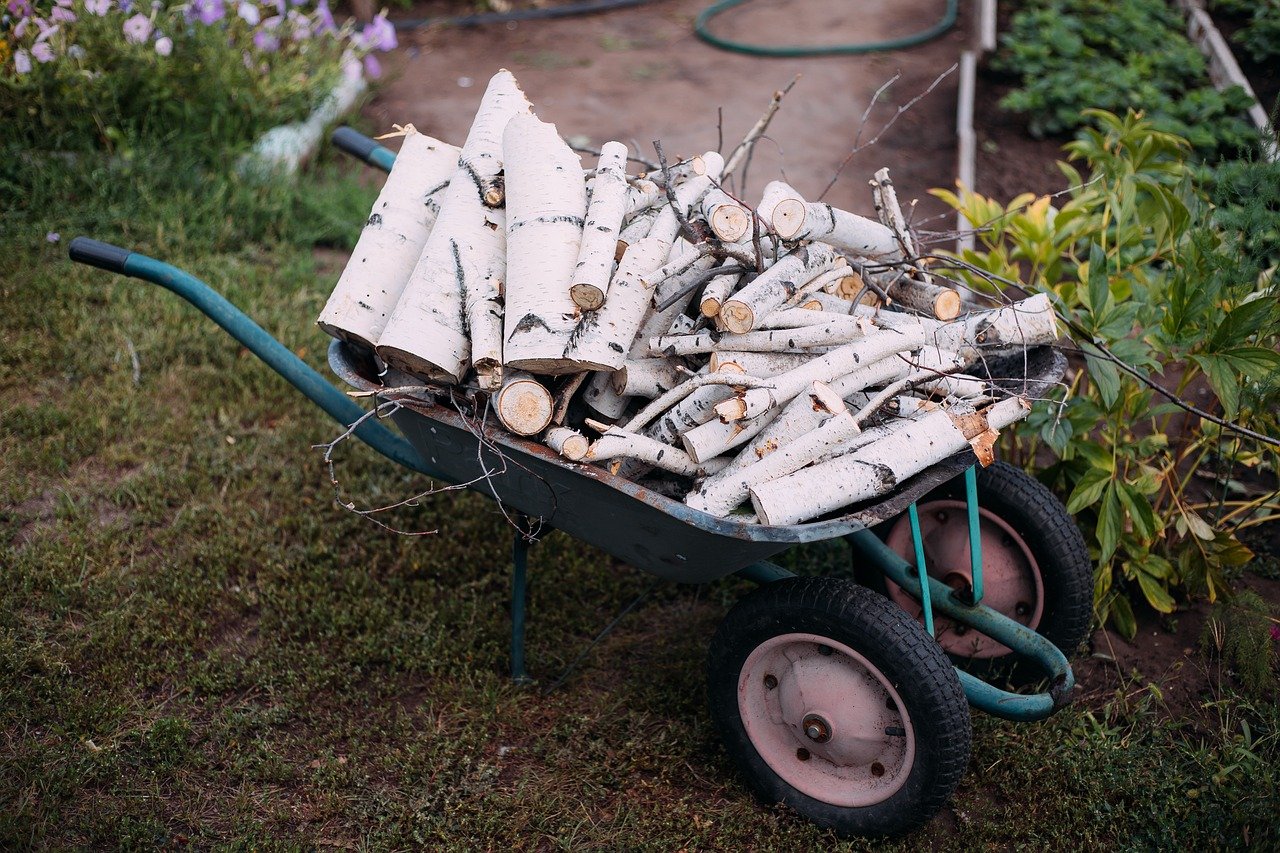 How to Create a Garden that Blooms Year-Round